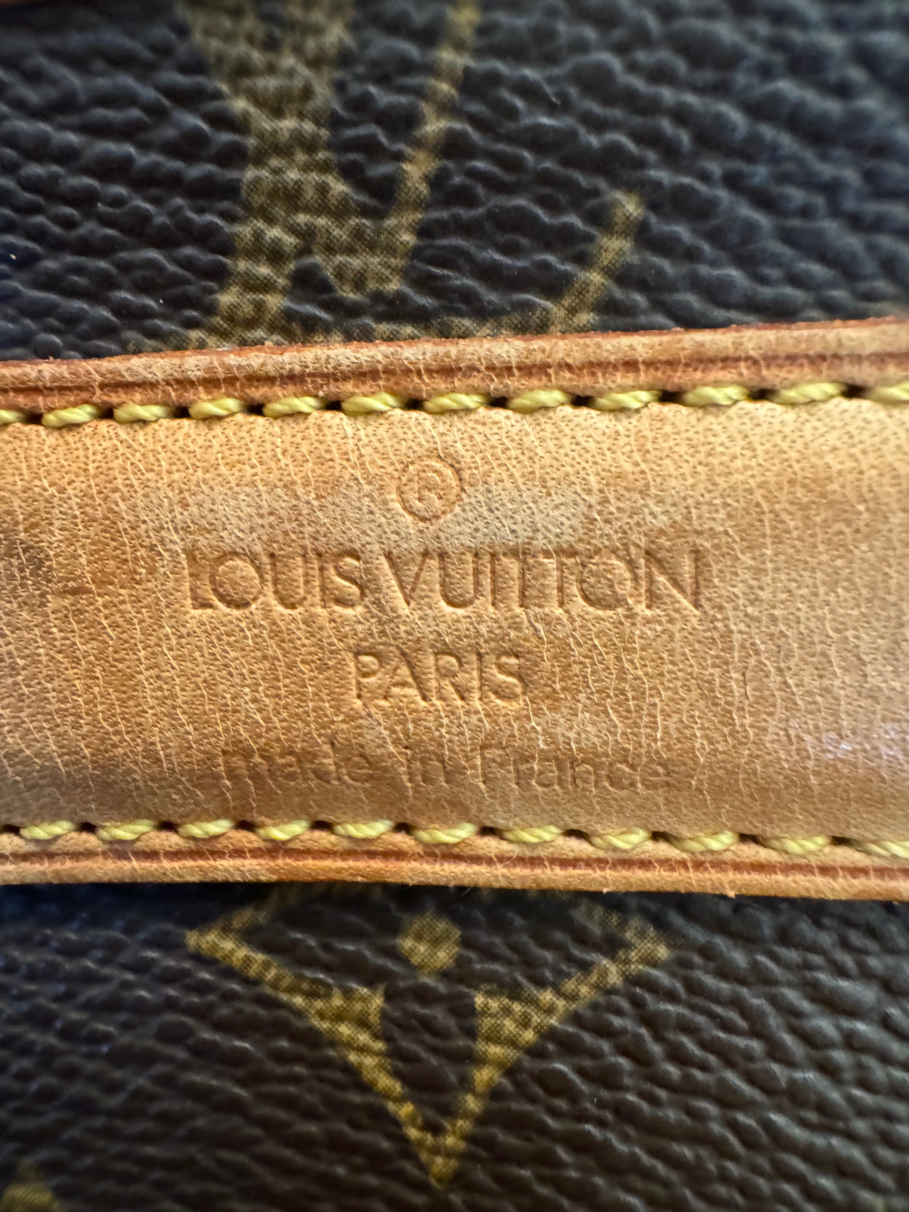 10184 Authentic Pre-loved Louis Vuitton Sac Chien Dog Carrier in Monogram Canvas